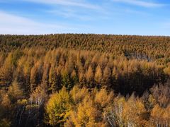 -塞罕坝国家级自然保护区