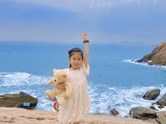 -广东惠东海龟国家级自然保护区