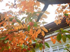 -西安华清御汤酒店