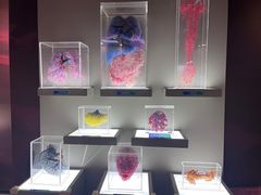 -生命奥秘博物馆