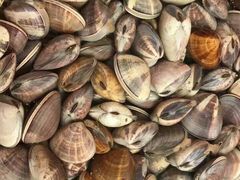 -宜宾海鲜酒家·三十年老字号