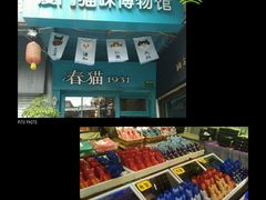 -猫咪博物馆(顶澳仔猫街店)