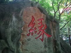 -杭州黄龙洞