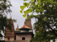 -北京石刻艺术博物馆(五塔寺)