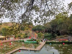 -广州莲花山旅游区