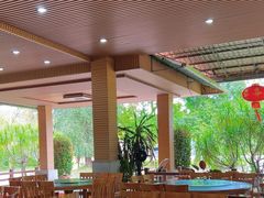 -兴隆槟榔园休闲农庄