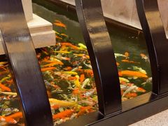 -龙悦湾酒家·八阵鱼生·渔人码头店