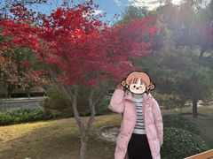 -元大都城垣遗址公园