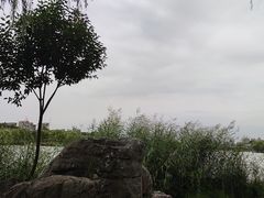 -阿瓦山寨·湘菜现炒·剁椒鱼头王(咸阳总店)