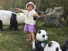 -泉州海丝野生动物世界