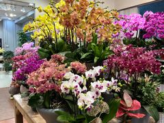 -双季花艺园艺市场(浦东店)