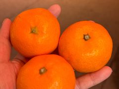 -油麻地果栏