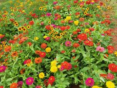 -永定河休闲森林公园