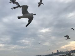 -星海广场