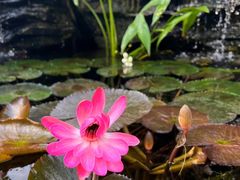 -国家植物园南园