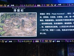 -顺德南宏海立方海洋公园