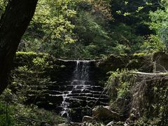 -素山寺森林公园