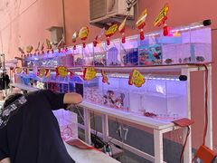 -中环花鸟鱼虫市场