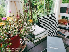 -大隐花事(熊婆婆的花园店)