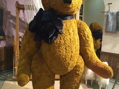 -济州岛泰迪熊博物馆