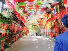 -观澜山水田园