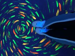 -天津梵高星空艺术馆(天河城旗舰店)