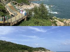 -广东惠东海龟国家级自然保护区