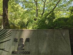 -北极阁公园
