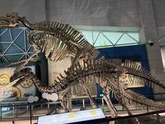 -湖南省地质博物馆