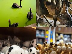 -杭州野生动物世界