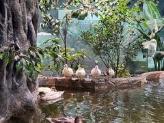 -上海大自然野生昆虫馆(东方明珠·爬宠昆虫探索中心)