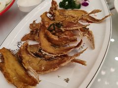 -胖大姐黄辣丁鱼庄(新津店)