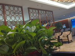 -郑州新郑国际机场