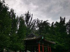 -宣武艺园