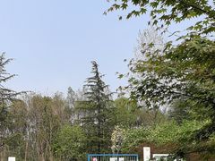 -昆山城市生态森林公园