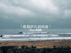 -日照海滨国家森林公园