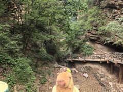 -邢台大峡谷