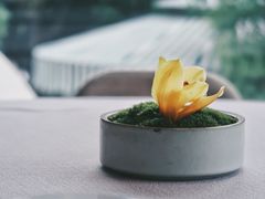 -子福慧(虹桥店)