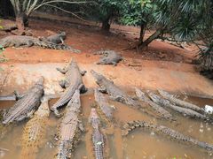 -海南热带野生动植物园