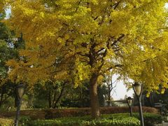 -苏州河梦清园环保主题公园