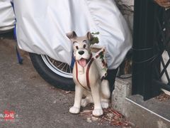 -灌篮高手动画打卡地