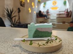 -Sirena海妖日咖夜酒