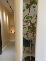 -重庆宝丽医疗美容