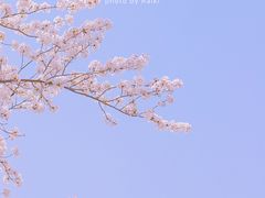 -上海辰山植物园