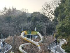 -杭州少年儿童公园