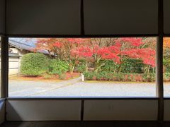 -西芳寺(苔寺)