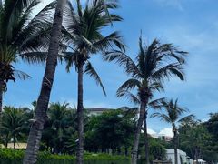 -三亚蜈支洲岛旅游区