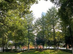 -后襄河公园