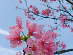 -文华公园(禅城区)