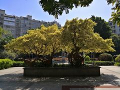 -兆祥公园